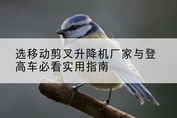 阿拉善左旗电动升降机厂家-选移动剪叉升降机厂家与登高车必看实用指南