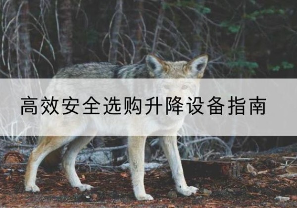 阿拉善左旗升降货梯厂家推荐-*安全选购升降设备指南