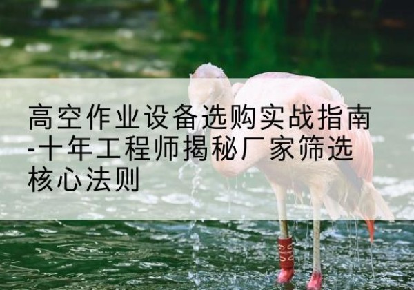 阿拉善左旗剪叉式升降机厂家-高空作业设备选购实战指南-十年工程师揭秘厂家筛选核心法则